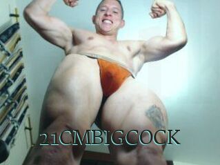 21CMBIGCOCK