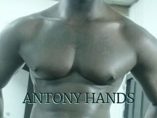 ANTONY_HANDS