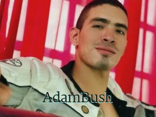 AdamBush