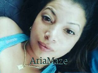 Aria_Maze