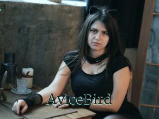 AviceBird
