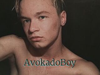 AvokadoBoy