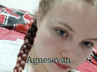 Agnesevan