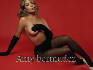 Amy_bermudez