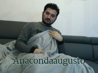 Anacondaaugusto