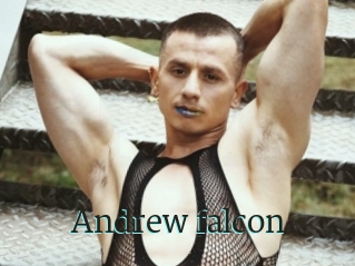 Andrew_falcon