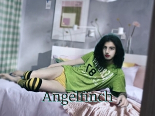 Angelfinch