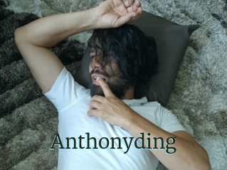 Anthonyding