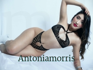 Antoniamorris