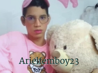 Arielfemboy23
