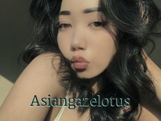 Asiangazelotus
