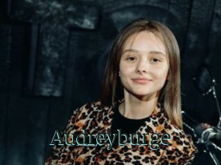 Audreyburge