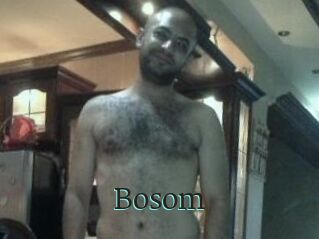 Bosom