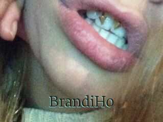 BrandiHo