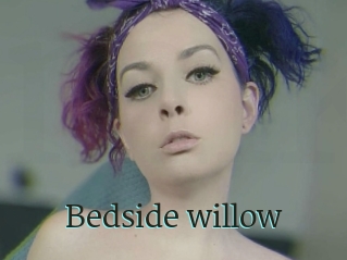 Bedside_willow