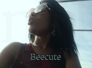 Beecute