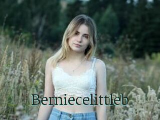 Berniecelittleb