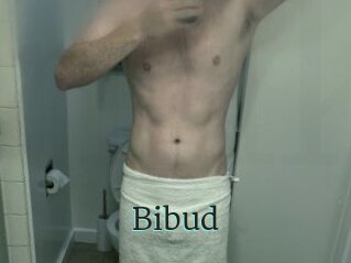 Bibud