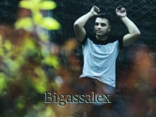 Bigassalex