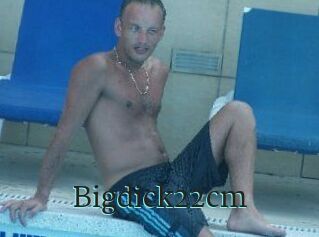 Bigdick22cm