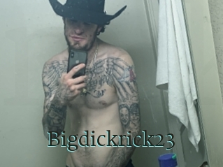 Bigdickrick23