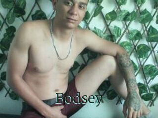 Bodsey