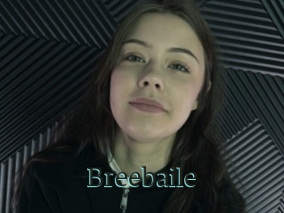 Breebaile