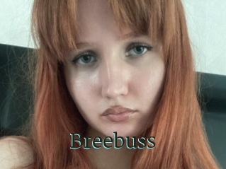 Breebuss