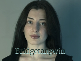 Bridgetangwin