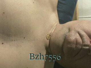 Bzh7556
