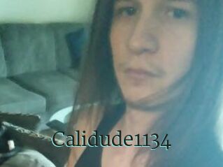 Calidude1134