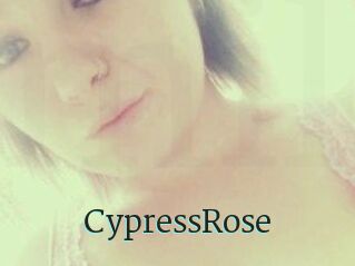 Cypress_Rose
