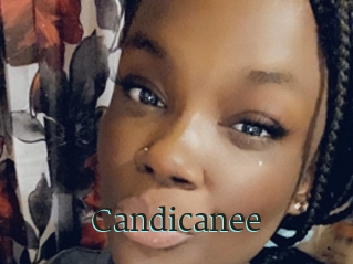Candicanee