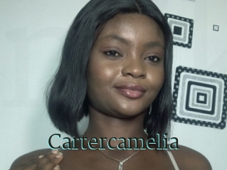 Cartercamelia