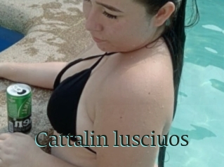 Cattalin_lusciuos