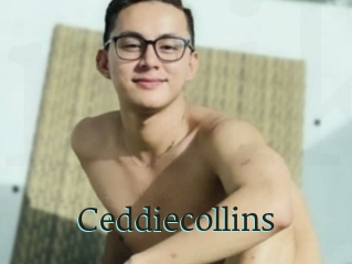 Ceddiecollins