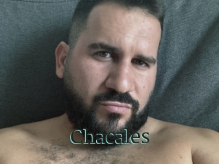 Chacales