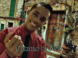 Chamo_brown