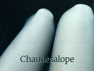 Chaudesalope