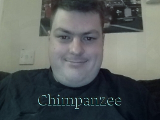 Chimpanzee
