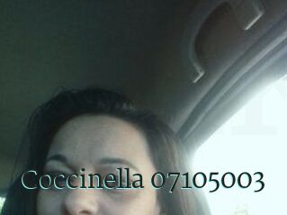 Coccinella-07105003
