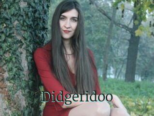 Didgeridoo
