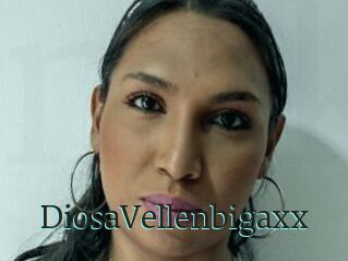 DiosaVellenbigaxx