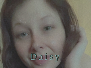 D_a_i_s_y