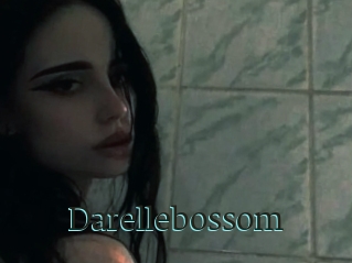 Darellebossom