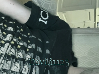 David1123