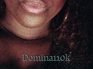 Domina110k