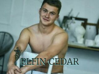 ELFIN_CEDAR