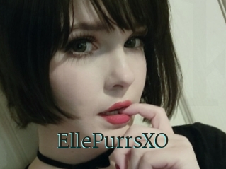 EllePurrsXO