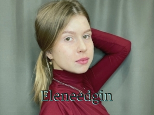 Eleneedgin